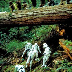 Signed Photo Print - Ewoks vs Stormtroopers
